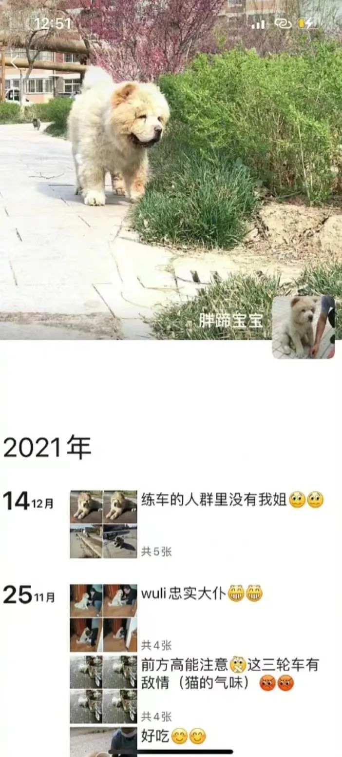 老妈给狗申请微信号,拉进家族群,每天更新朋友圈…可看完我却哭了
