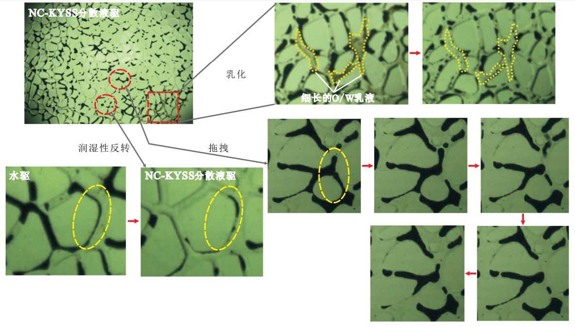 纰崇氦缁村鍚堟潗鏂欏湪娌圭敯涓婄殑搴旂敤,绾崇背鏉愭枡鍦ㄦ补鐢版柟闈㈢殑搴旂敤
