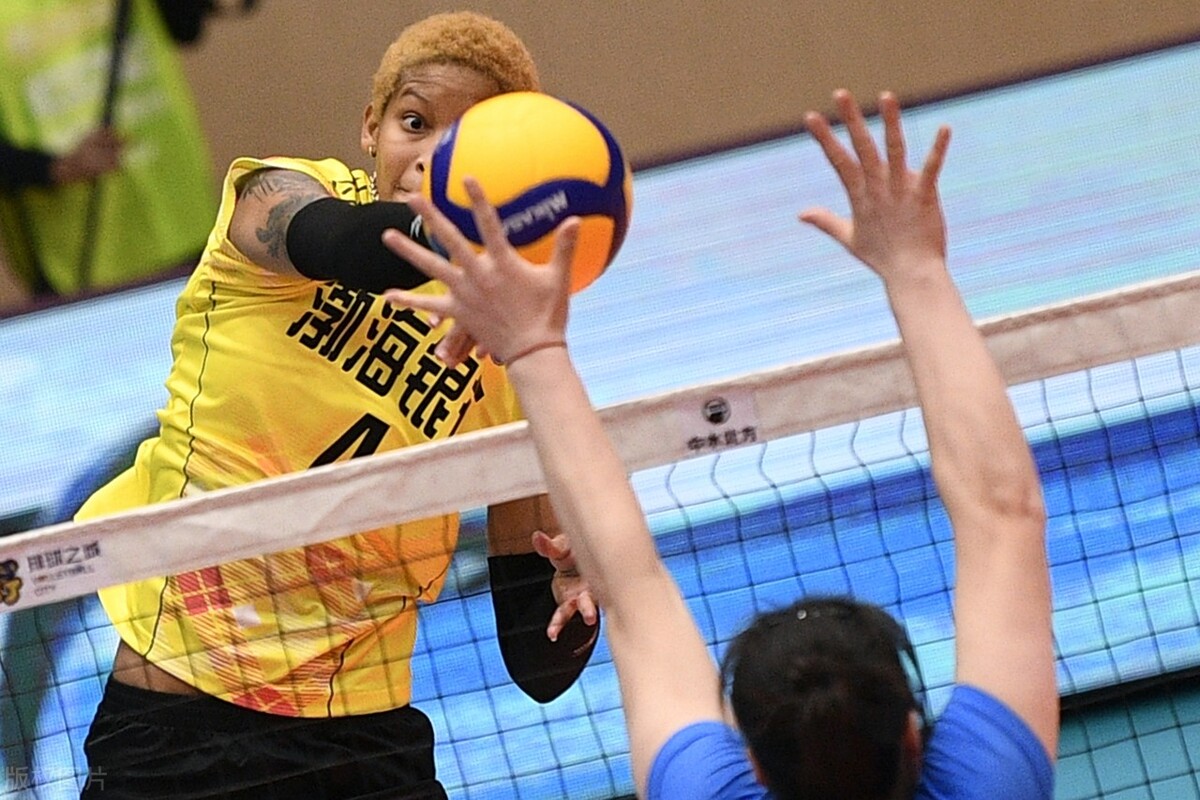 女排引援天津名单,2025天津女排签约新外援