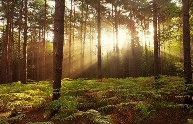 节衣缩食度过经济危机,节衣缩食和省吃俭用