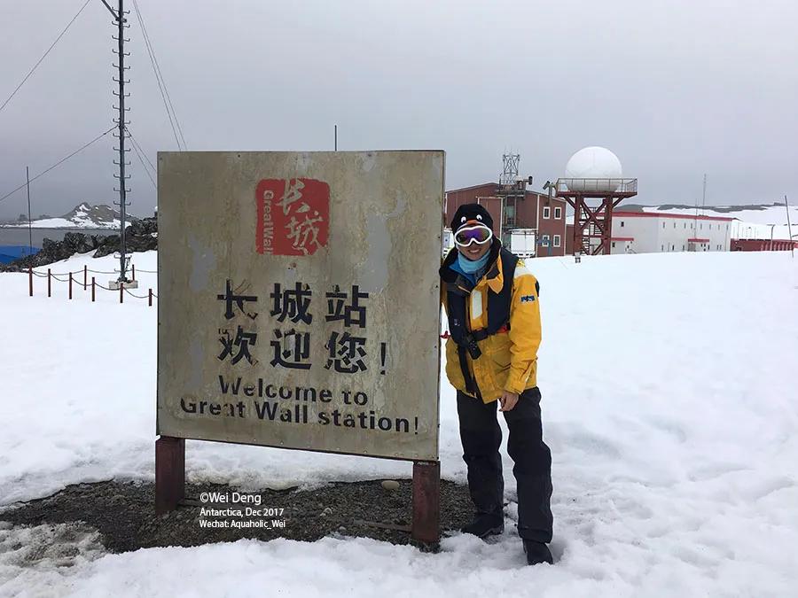 我在南极养企鹅,我在南极的日子