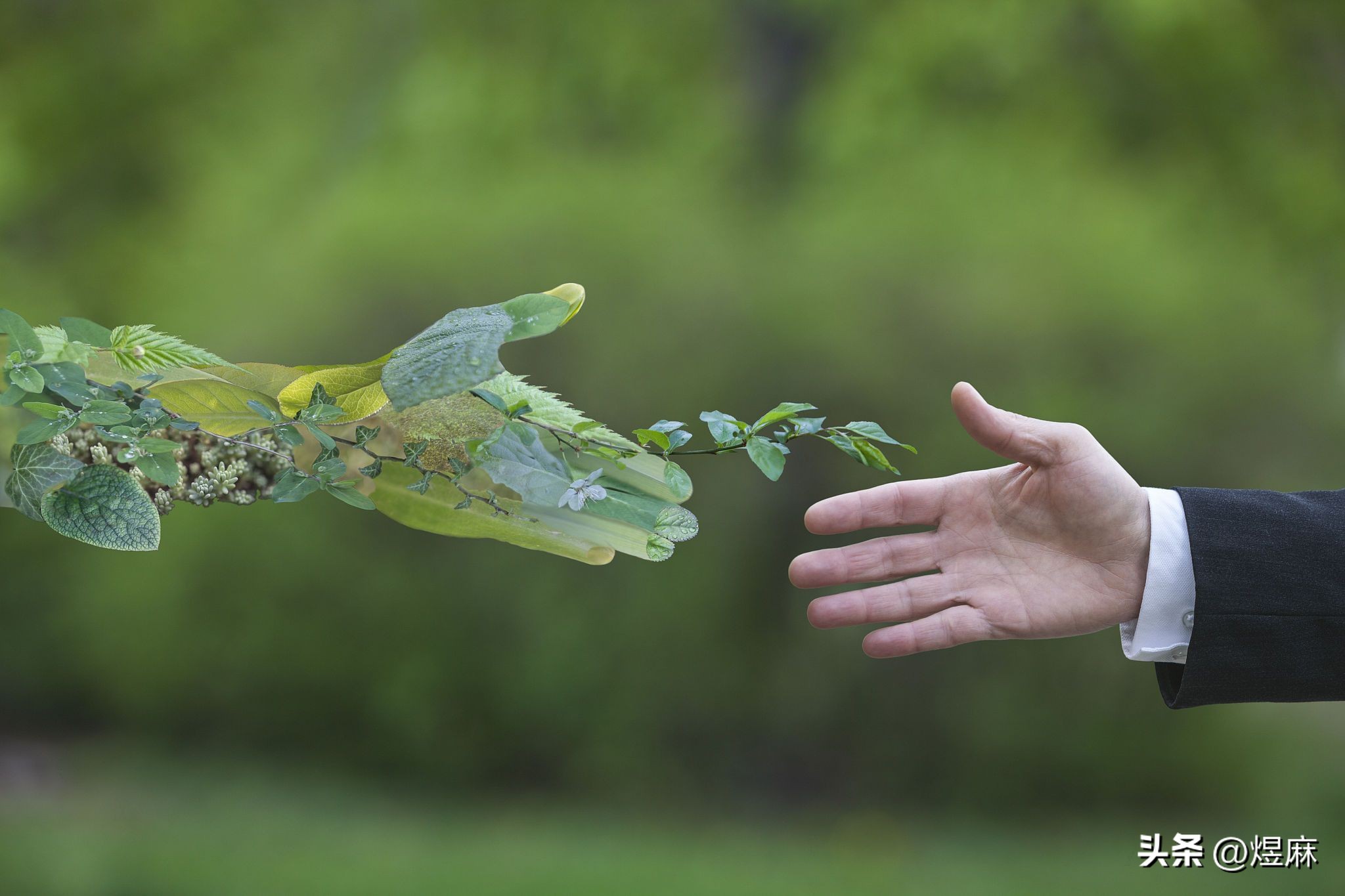 感性还是理性：选择煜麻的四个理由