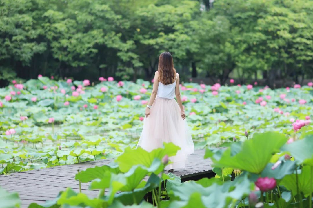 春来夏往，秋收冬藏，带你感受沙家浜的四季，别错过身边的美好