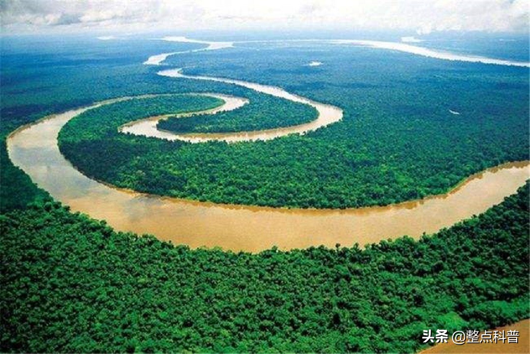 秦岭隧道挖出两条巨蟒是真的吗,世界上最大的蛇是不是在秦岭