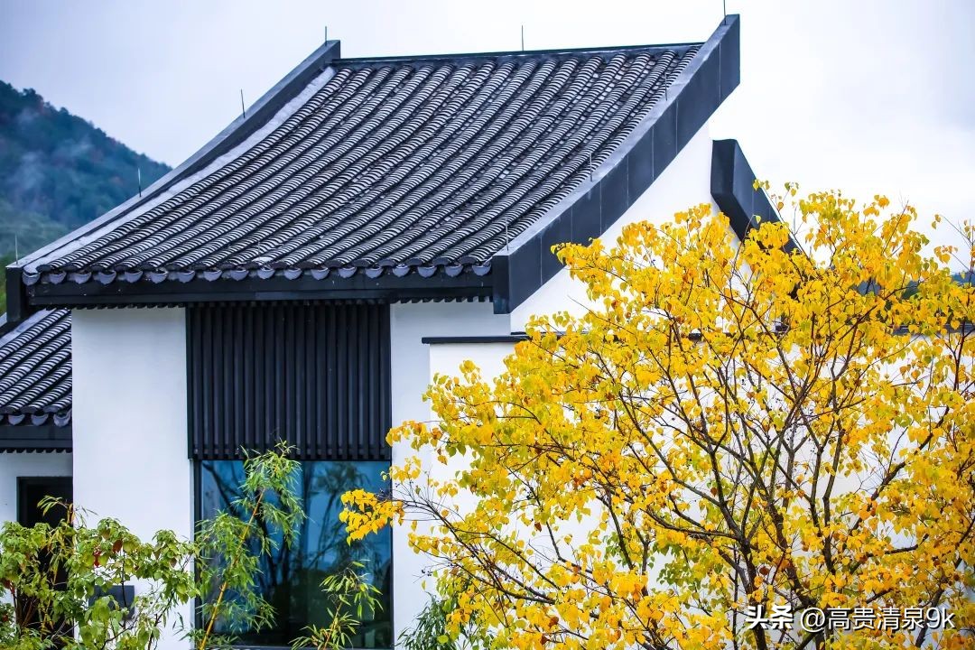 天下第一秀水旅游攻略,天下第一秀水在千岛湖