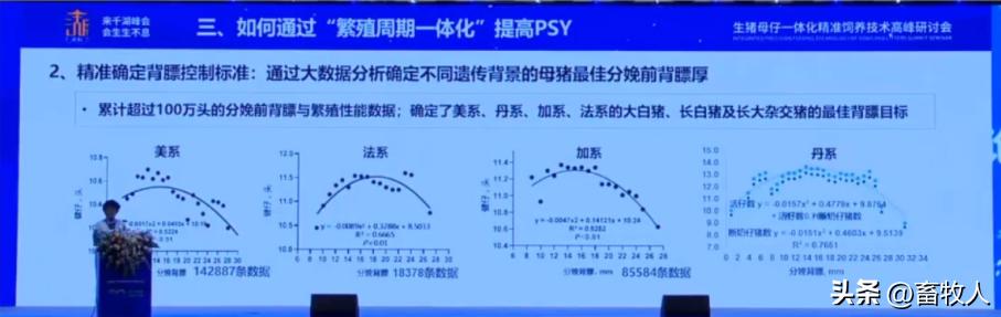万建美博士:母仔一体化低蛋白猪料配方方案的设计与应用关键