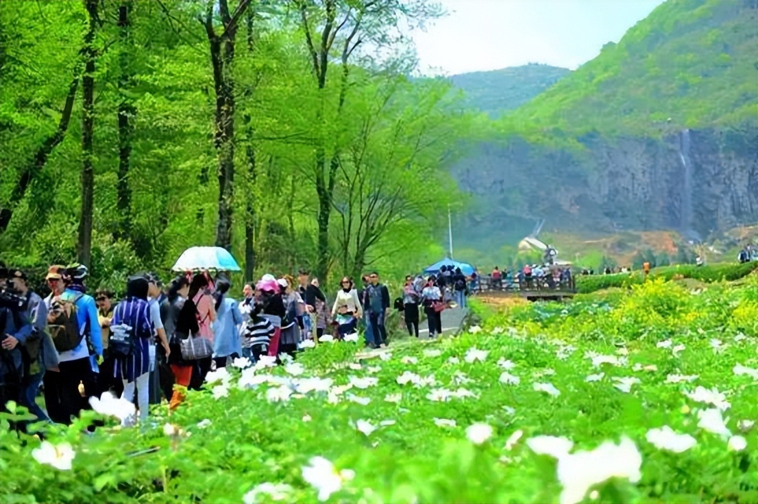 装配式农村住宅乡村振兴,装配式建筑乡村应用的未来及发展