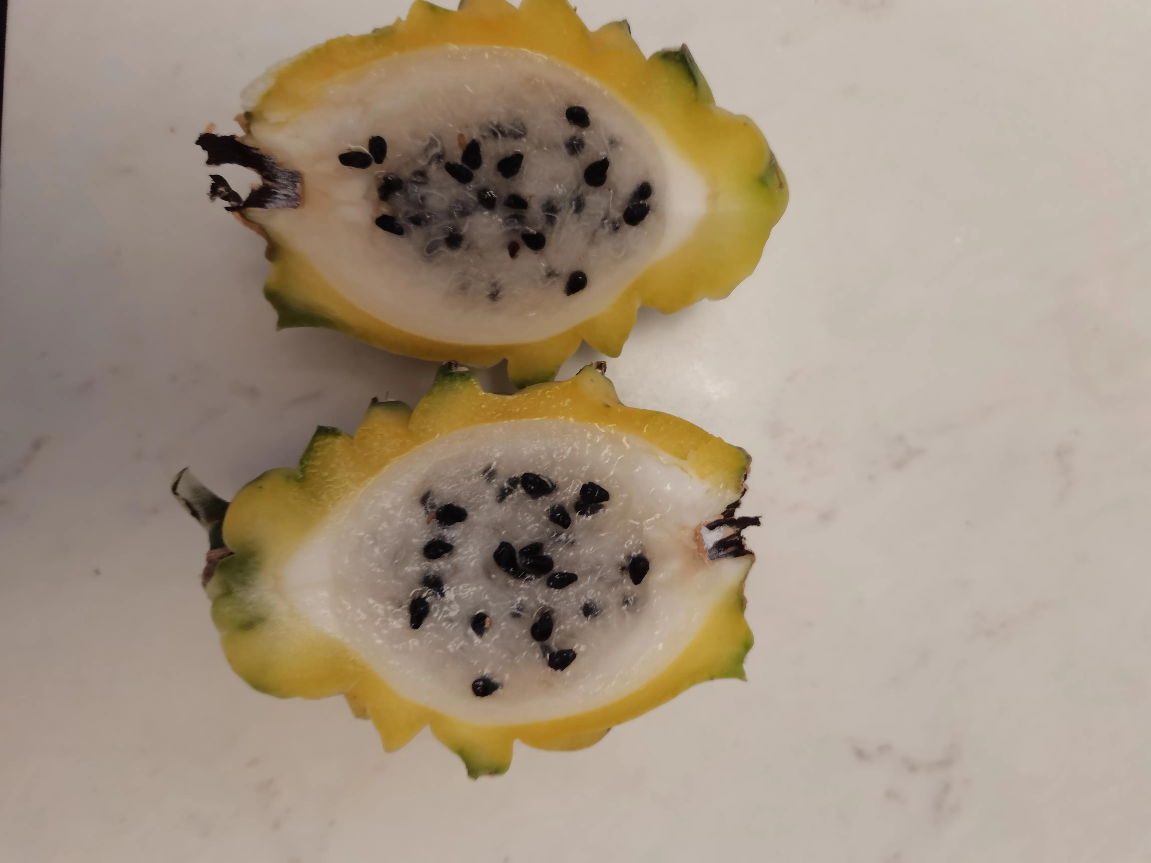 海南儋州海花岛怎么玩省钱,海南儋州海花岛旅居