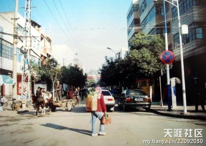 跟随老韩走遍中国,老韩带你逛云南