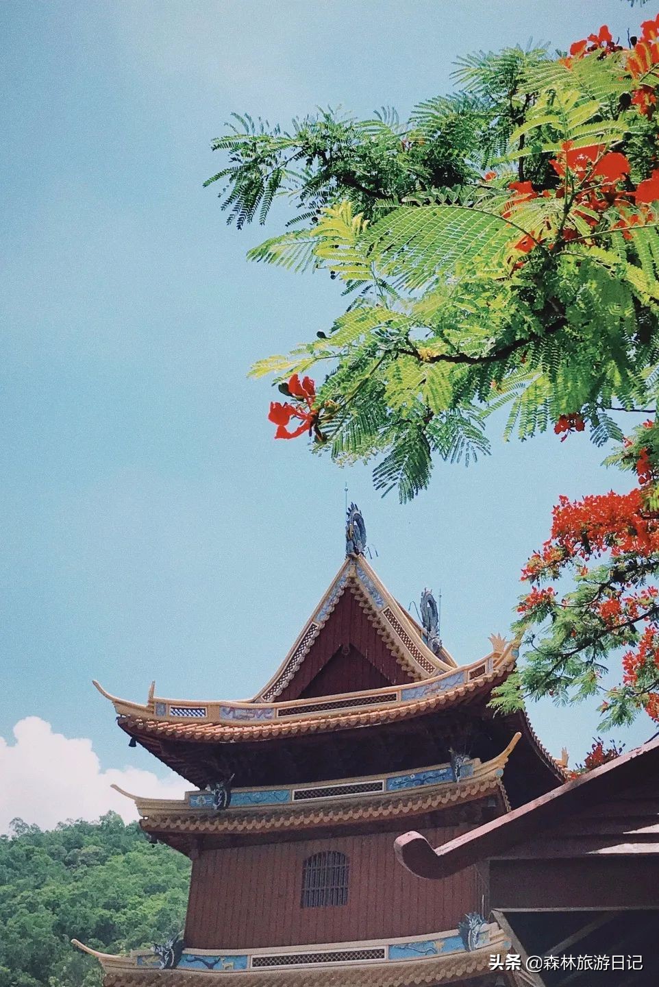 深圳最灵的寺庙叫什么,深圳最灵的寺