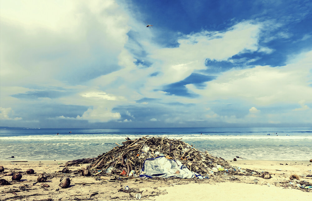 身价17万的实验猴！野生实验猴已进石器时代，用石头过度开发资源