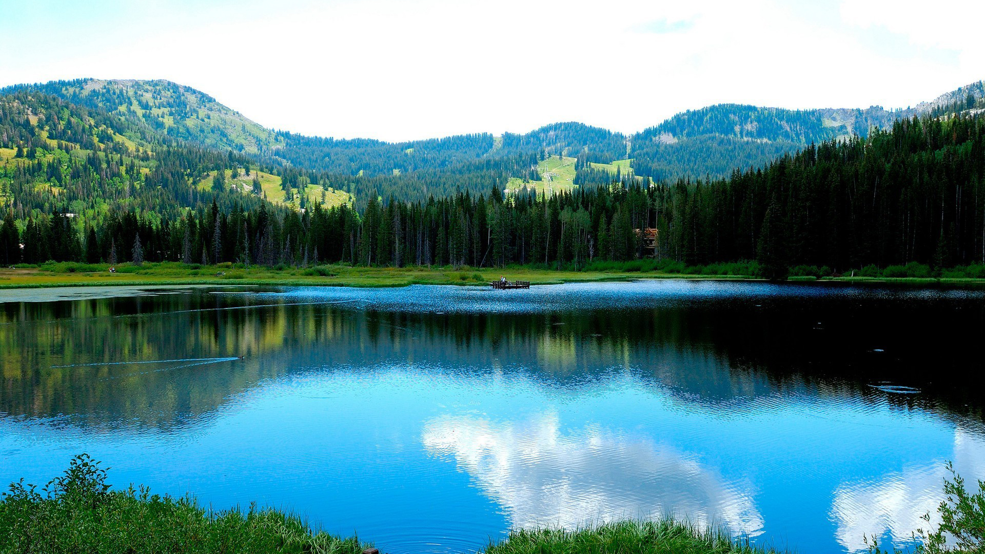 申请破产可以免除债务吗,申请破产后债务不用还了吗