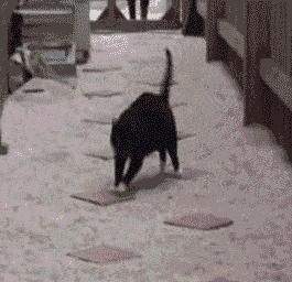 俄罗斯方块消消技巧,俄罗斯方块消消真的吗