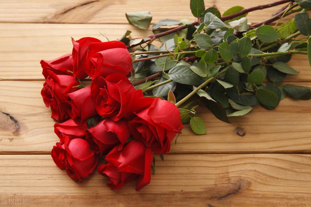 诉讼离婚流程律师费用,诉讼离婚财产怎么分配