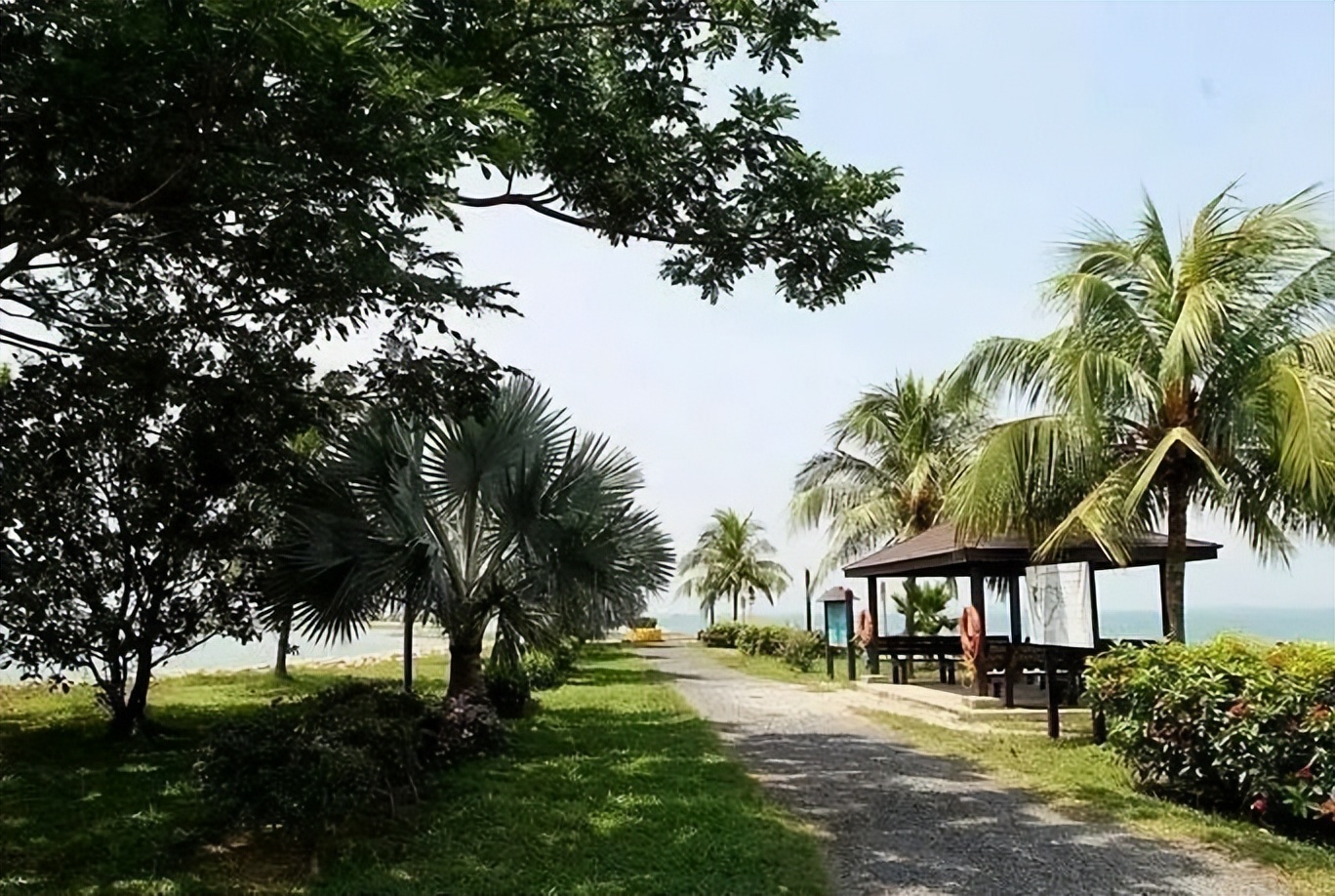 新加坡为什么那么多垃圾桶,新加坡超市不卖垃圾袋吗