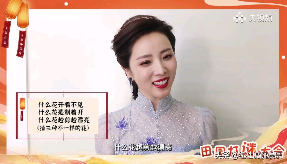 央视灯谜大会,央视谜语大赛直播