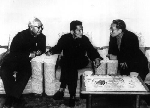 华子良装疯卖傻的目的,华子良白公馆装疯故事情节