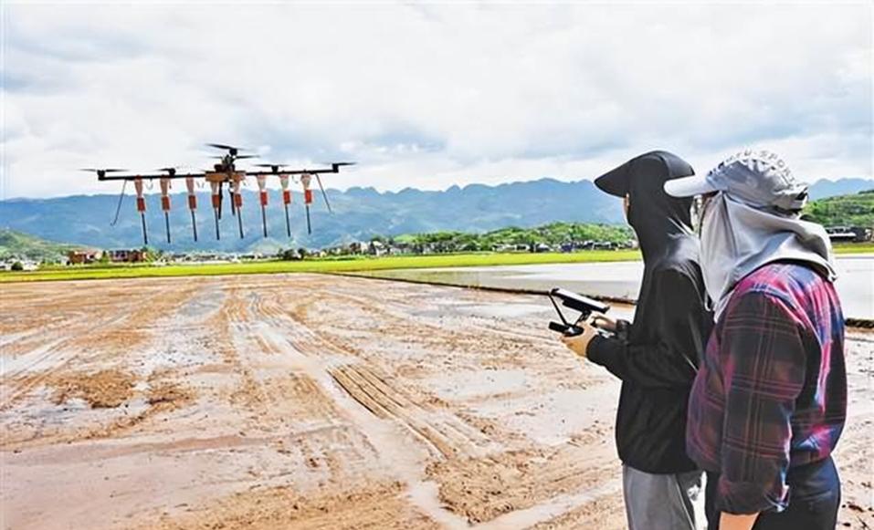 人工智能技术农业应用举例,人工智能技术在农业方面的应用