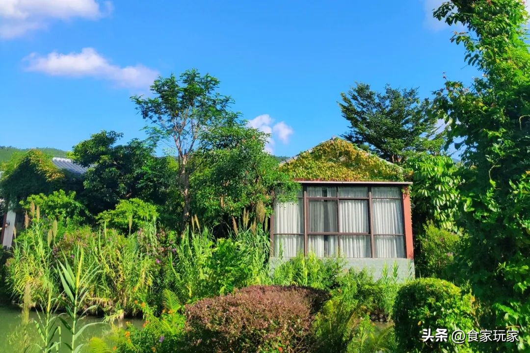 深圳最好的温泉山庄,深圳水底山温泉度假