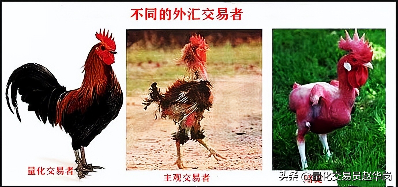 量化交易和技术分析,量化交易真的这么厉害吗