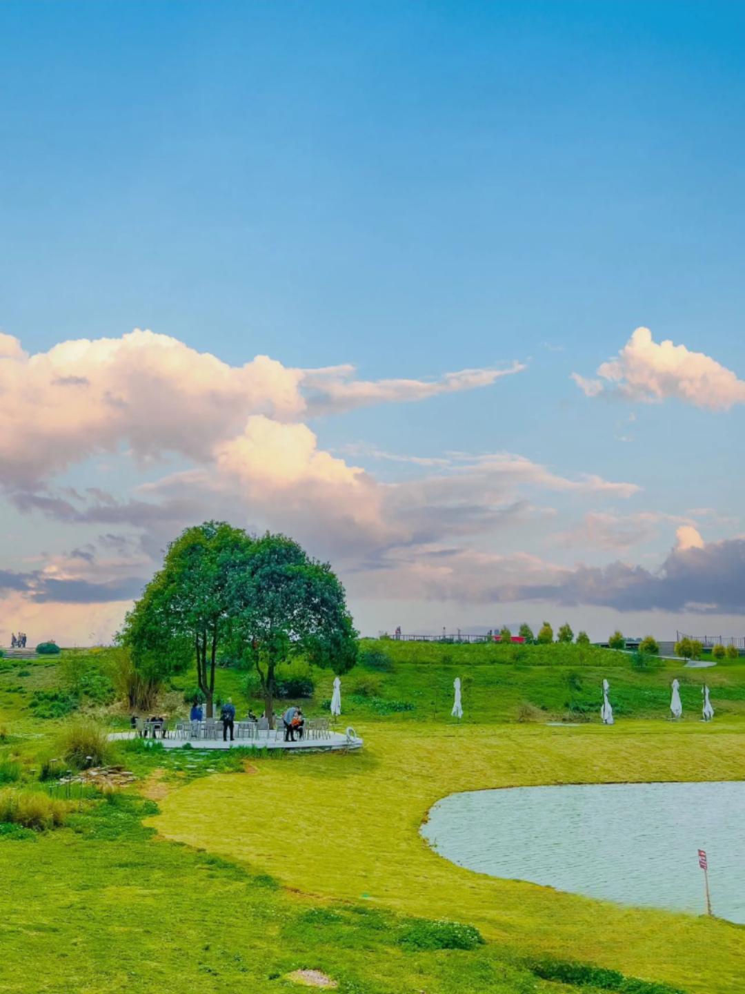 踏青露营地推荐,空港花田古朴森林露营地