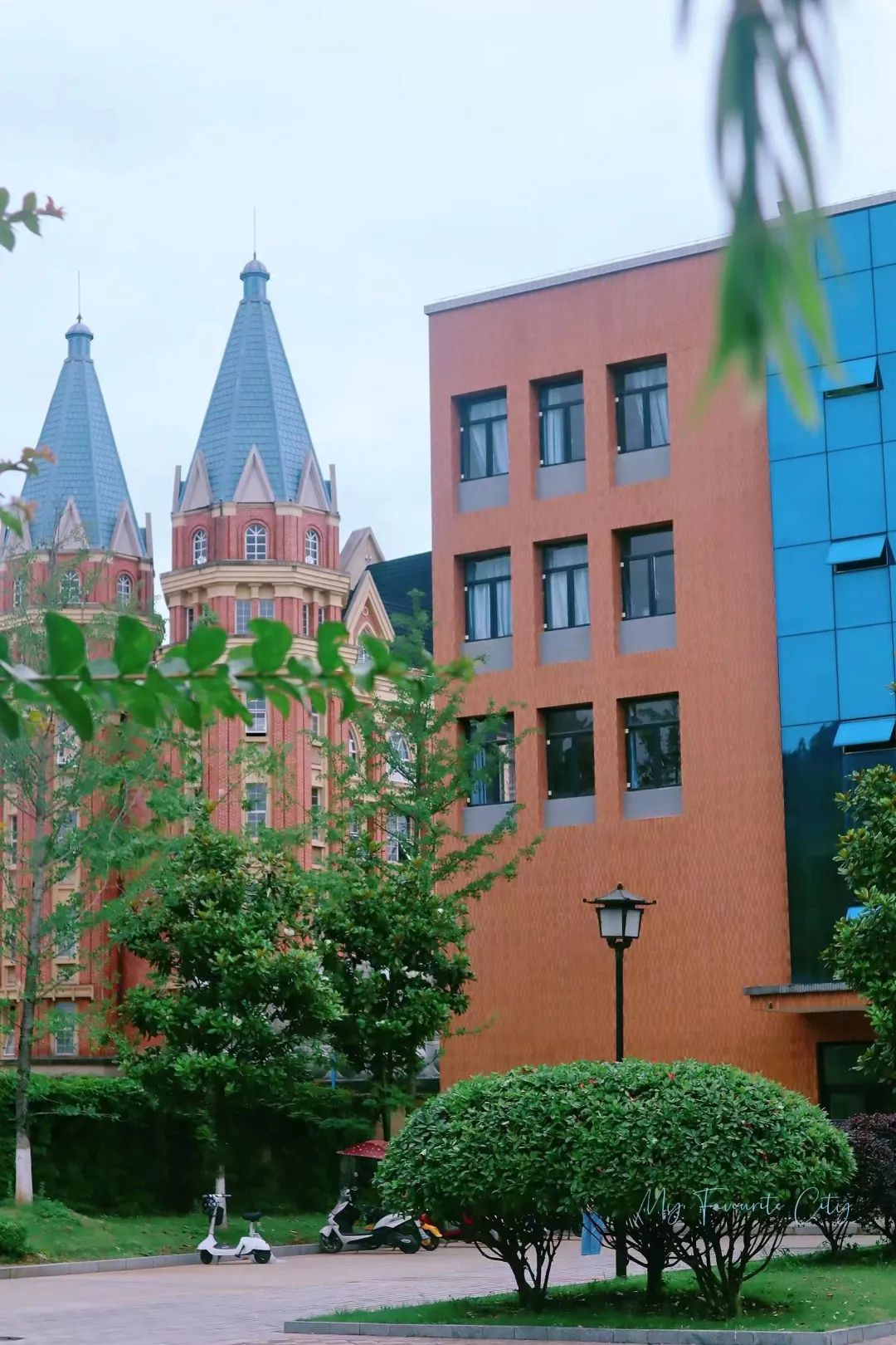 葵花宝典计算机二级考试,计算机二级考试全过程和技巧