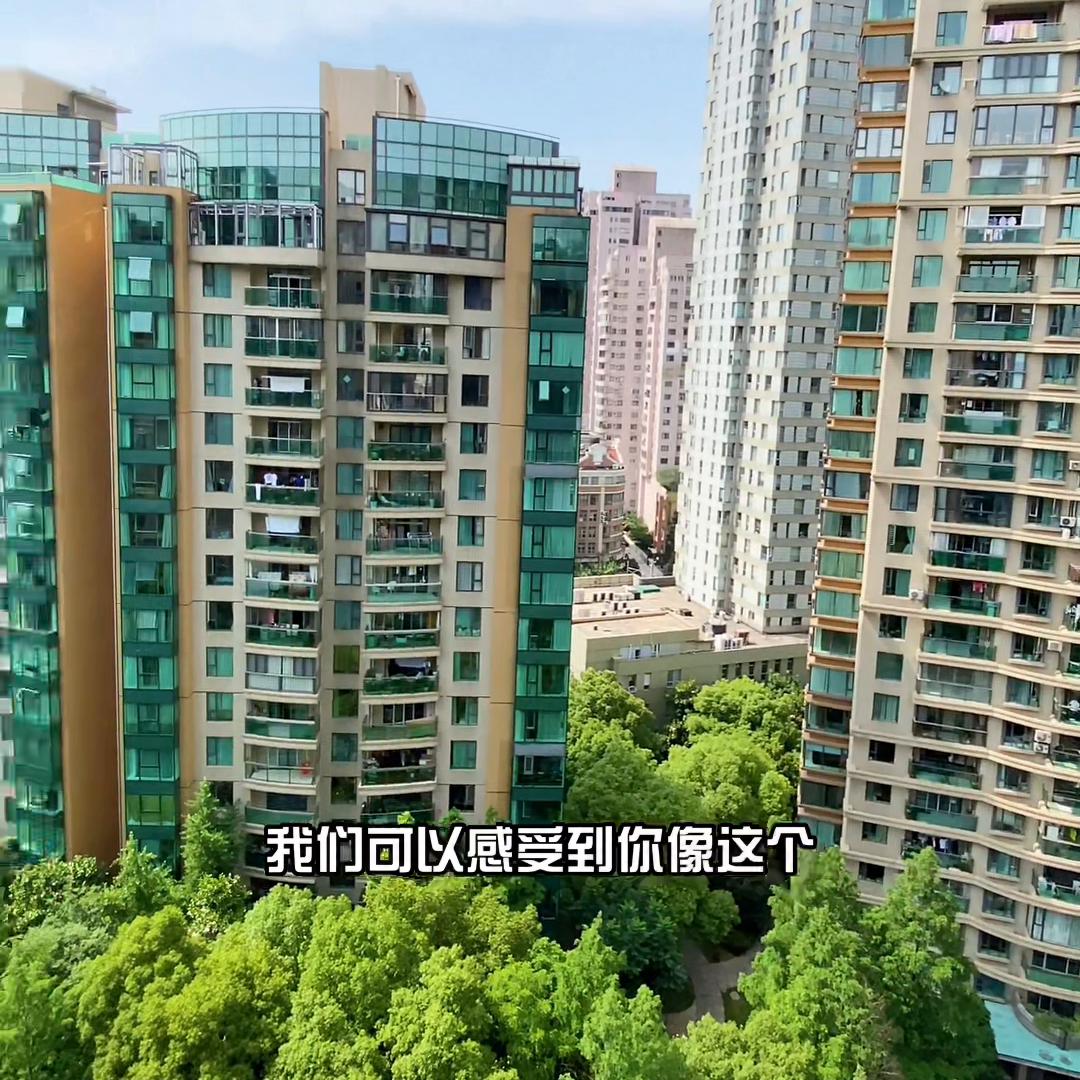 国际丽都城楼王,国际丽都城公寓