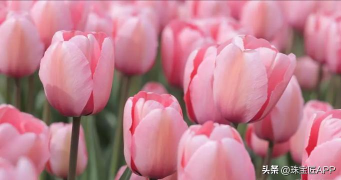 最好看的粉色宝石,粉色小众宝石