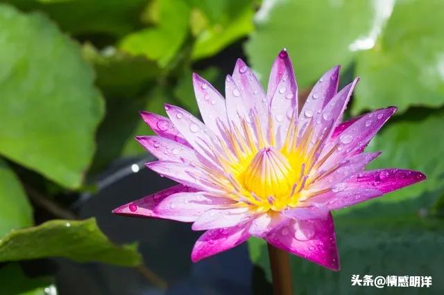 人怎么修炼自己的福气,人如何修炼自己