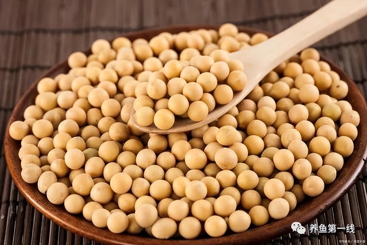 鱼饲料中的主要营养成分,鱼类饲料