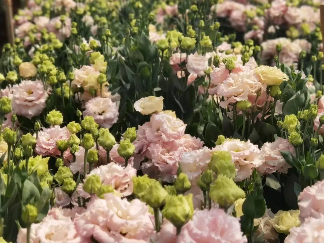 3年6000亿美元,3年赚60万什么水平