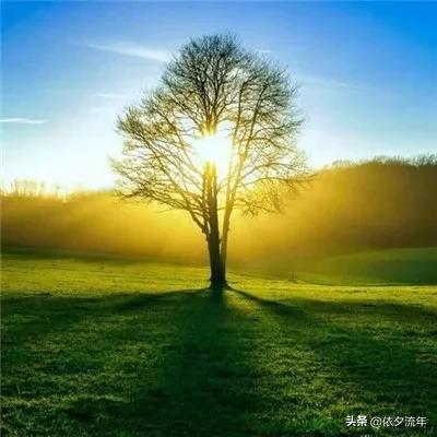 杨绛先生经典语录没人能够伤害你,杨绛先生经典语录人生哲理