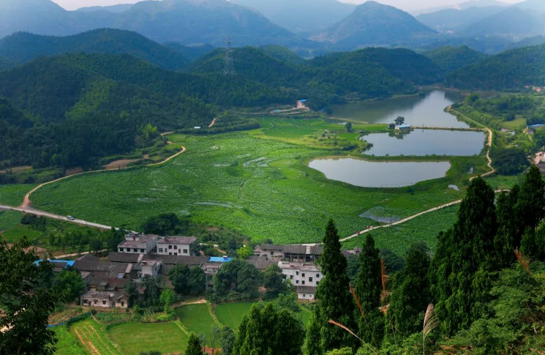 跟着chatgpt学习,跟着chatGPT学知识