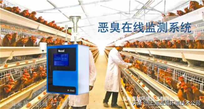 恶臭在线监测仪,便携式臭气检测仪