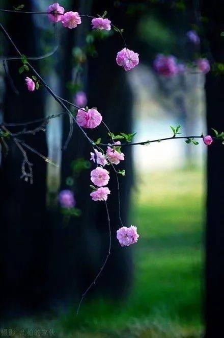 我曾踏月而来只因你在山中日落,我曾踏月而来只因你在山中