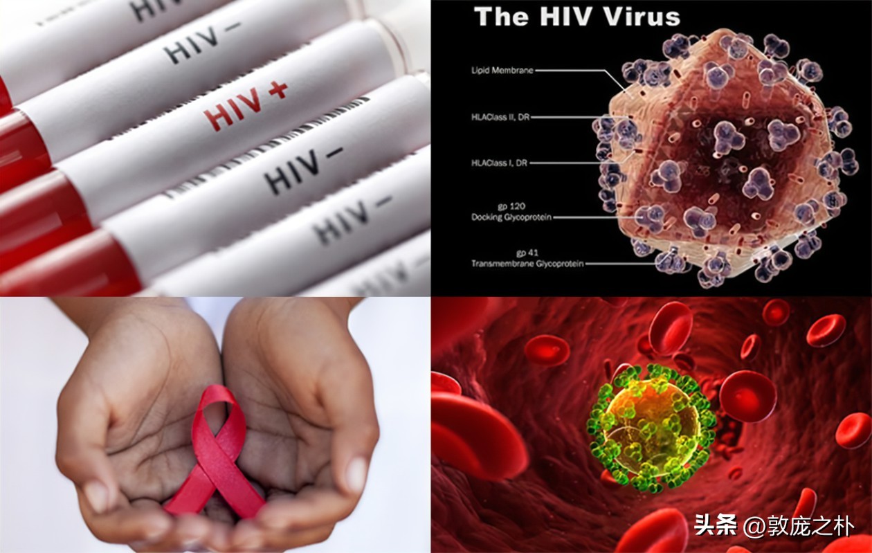 地球上最致命的四种病毒,地球史上最可怕的十种病毒