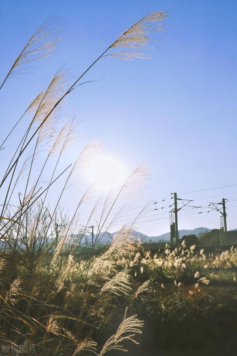 白云蓬莱仙境景区,蓬莱阁和蓬莱仙境有什么区别