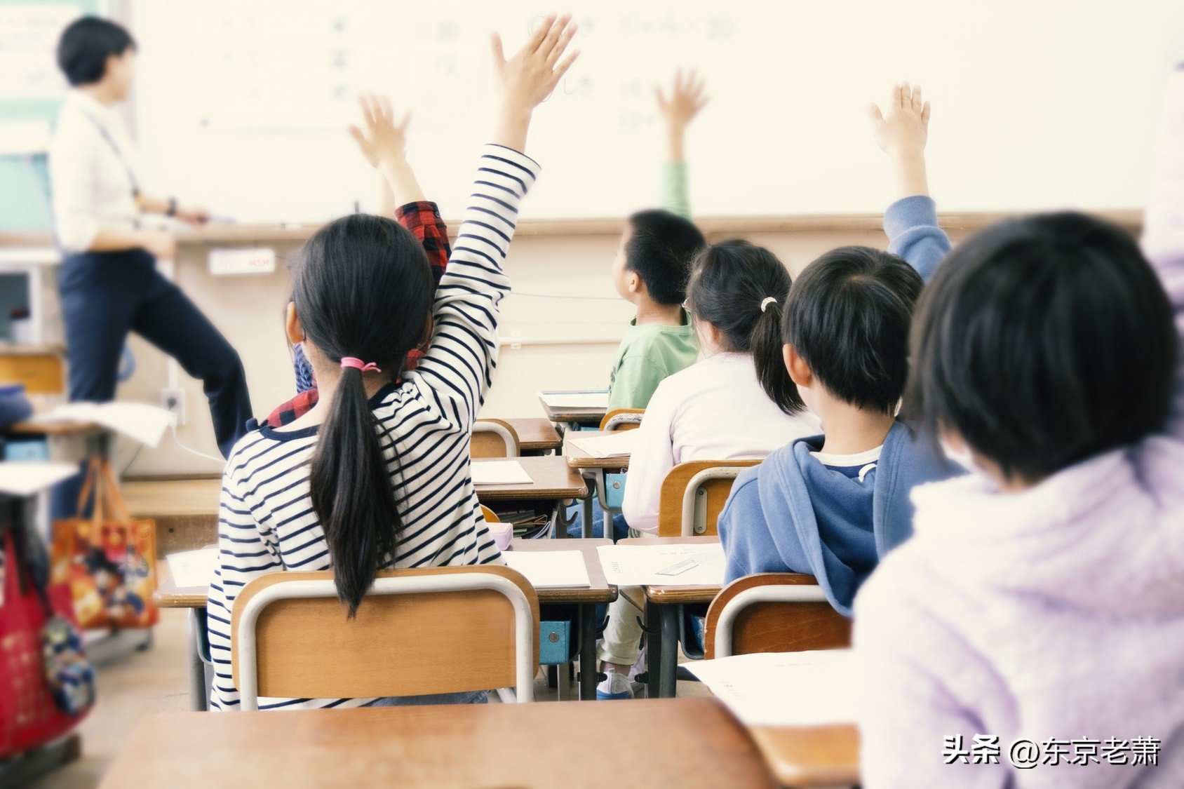 日本高等教育发展历程,日本国民教育解读