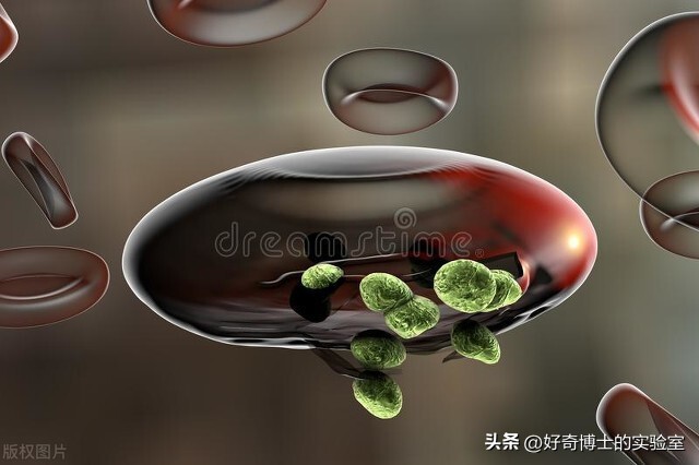 到底住几楼以上夏天才没蚊子,住多少楼层会没有蚊子