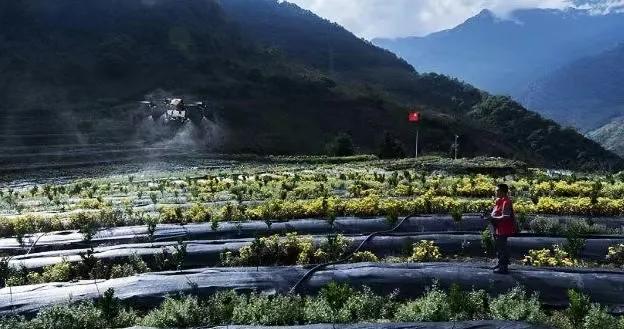 拼多多这三年财报数据,拼多多2019财报全文