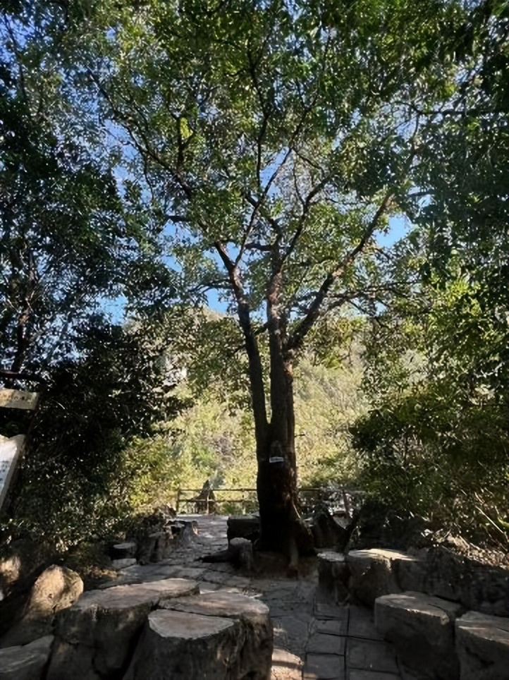 黄果树风景区一日游旅游攻略,黄果树旅游景区游览攻略