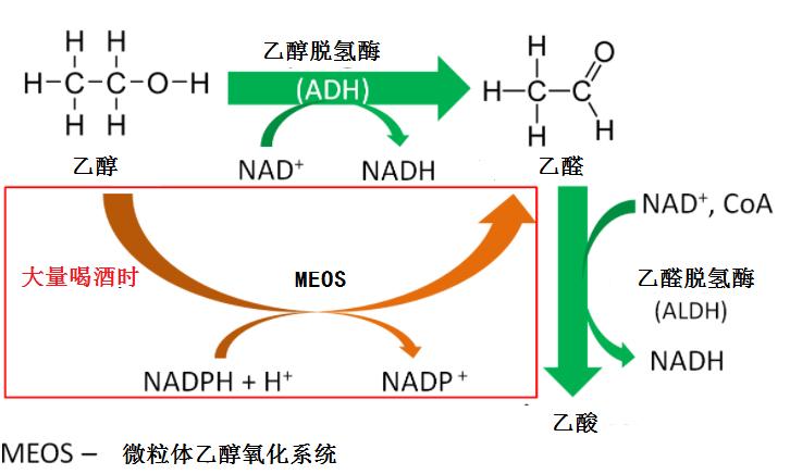 楂樺弽鍠濋珮绯栨湁鐢ㄥ悧,楂樼硸鍜岄厭鏈夊弽搴斿悧