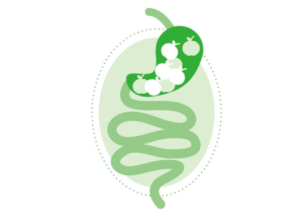 维生素b6几块钱一百片,维生素b6几钱