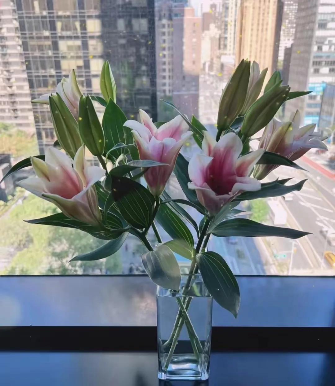 哈文李咏最后时刻,哈文短发与李咏合影