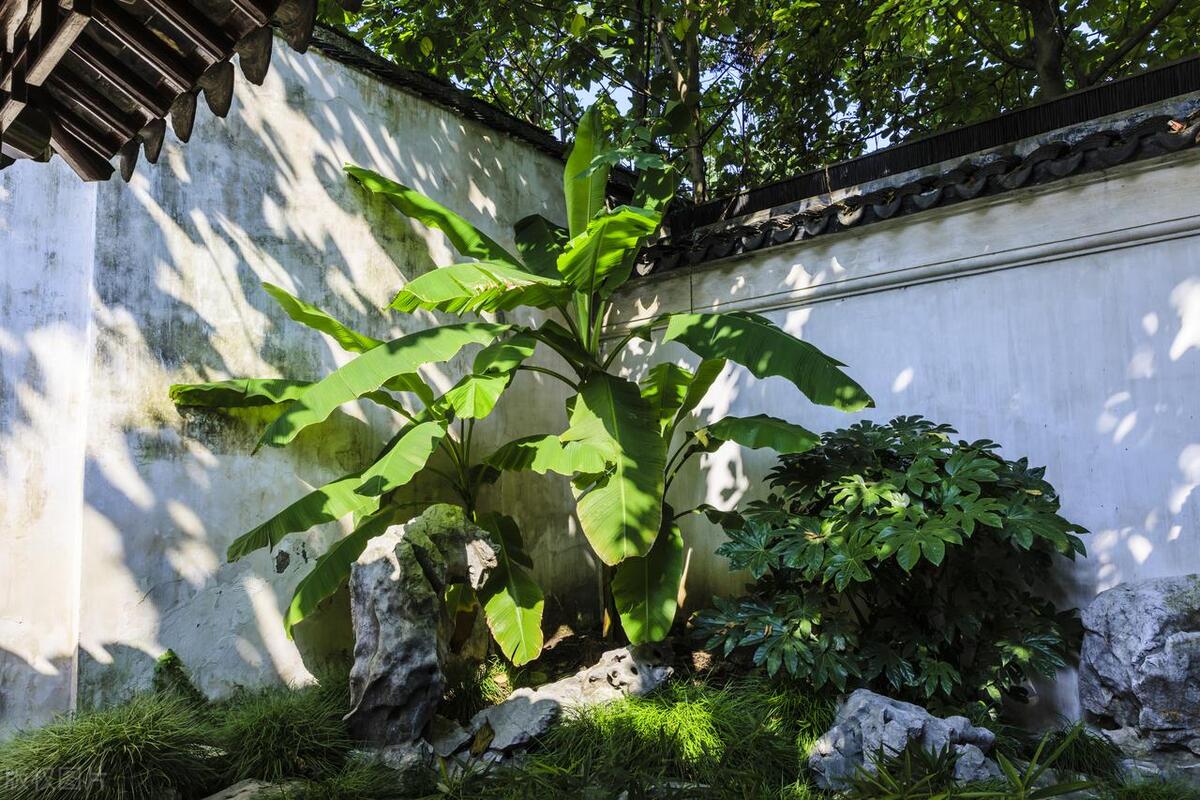 苏州最值得去的小众园林,苏州有哪些小众园林