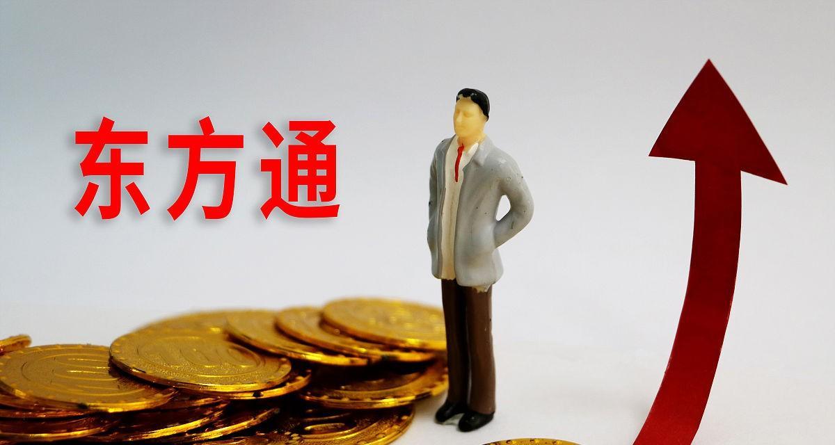 东方通科技有限公司,东方通公司的盈利能力