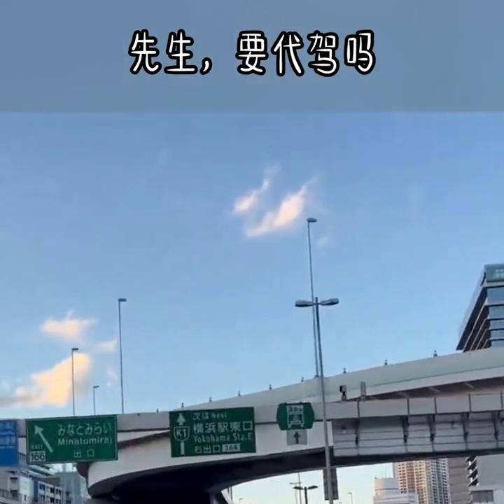 小说推荐番茄小说,小说推荐