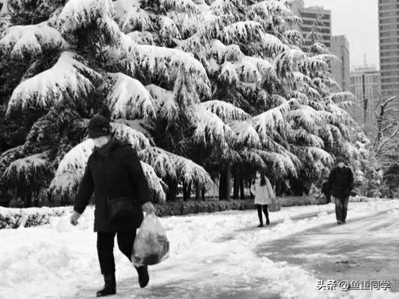 农历十一月十号是什么日子,十一月十一日农历是几号