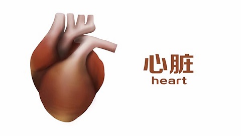 老年痴呆早期吃啥中药,90多岁防痴呆食疗