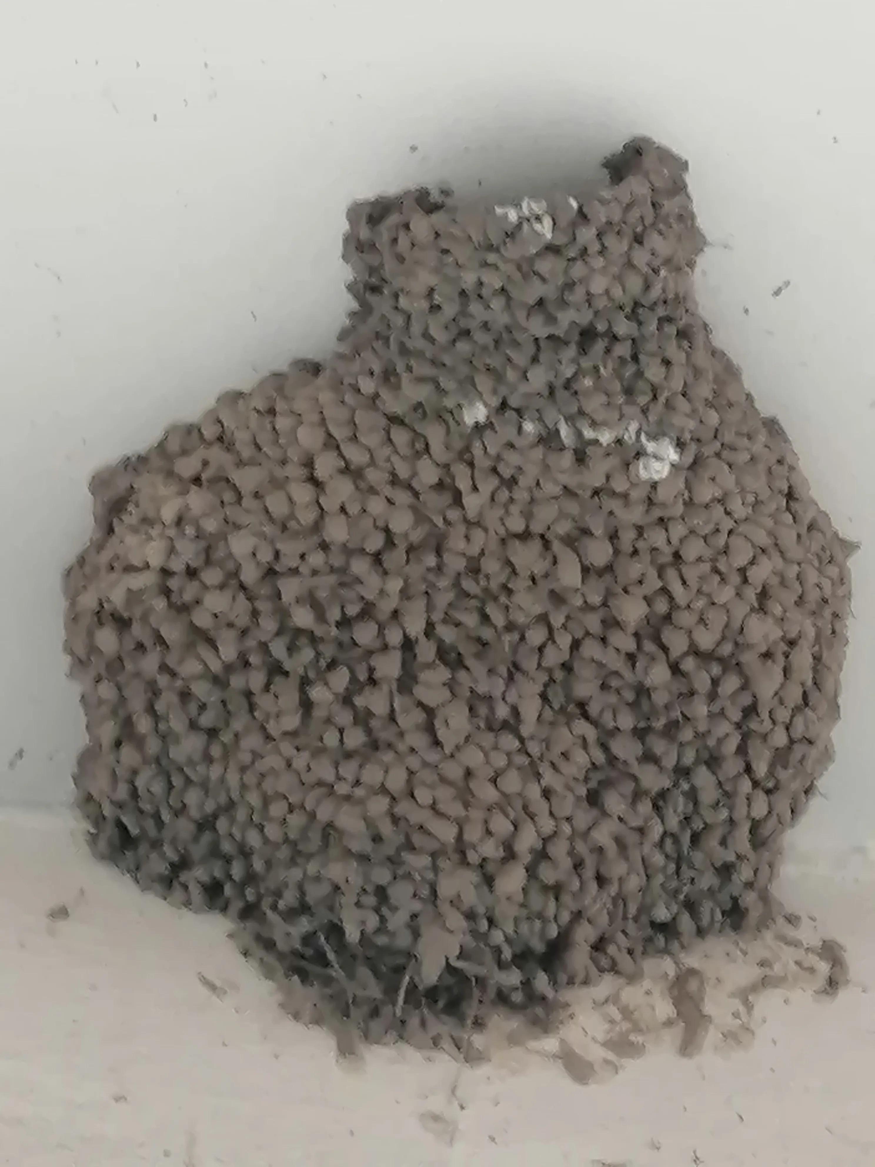 老鼠成精曲剧完整版,老鼠成精民间故事